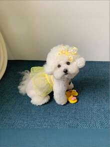 PETSIN 透气网眼连衣裙，适用于狗狗和猫咪，包括泰迪犬、博美犬、贵宾犬、比熊犬和其他小型犬种。 - 彩色 - 查看 9