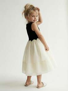 Maija Kids Young Girl Knitted Jacquard Contrast Mesh Round Neck Sleeveless Cute Dress - Multicolor - View 13