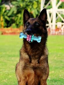 1pc Multicolor Dog Toothbrush Toy, Interactive Cleaning & Chewing, Chew Toy Helps Clean Teeth, Training Small To Medium-Sized , Providing Relief From Boredom And Preve, Dog Stuff, Puppy Keep, Dog Accessories, Dog Toys, Puppykeep, Puppy Keep Game, Dog Toys Indestructible, Valentine's Day - Multicolor - View 5