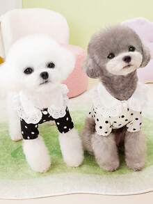 PETSIN Pet Clothing, Dog Clothing, Cat Vest, Pet Spring And Summer New Casual Wear - Multicolor - View 7