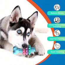 1pc Multicolor Dog Toothbrush Toy, Interactive Cleaning & Chewing, Chew Toy Helps Clean Teeth, Training Small To Medium-Sized , Providing Relief From Boredom And Preve, Dog Stuff, Puppy Keep, Dog Accessories, Dog Toys, Puppykeep, Puppy Keep Game, Dog Toys Indestructible, Valentine's Day - Multicolor - View 2