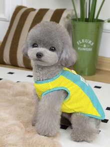 PETSIN 宠物春季新款狗狗服装 动物用品 宠物服装 狗狗背心 猫咪T恤 泰迪熊套装 小型动物服装 休闲酷炫背心 狗狗服装 猫咪服装 春夏两季新款背心 - 彩色 - 查看 16