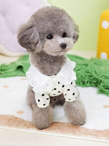 PETSIN Pet Clothing, Dog Clothing, Cat Vest, Pet Spring And Summer New Casual Wear - Multicolor - View 5