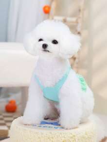 PETSIN 宠物春季新款狗狗服装 动物用品 宠物服装 狗狗背心 猫咪T恤 泰迪熊套装 小型动物服装 休闲酷炫背心 狗狗服装 猫咪服装 春夏两季新款背心 - 彩色 - 查看 8