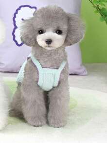 PETSIN Quần áo thú cưng mùa xuân mới, đồ dùng cho thú cưng, quần áo cho thú cưng, áo ba lỗ cho chó, áo thun cho mèo, trang phục cho gấu bông, trang phục cho động vật nhỏ, áo ba lỗ thường ngày mát mẻ, quần áo cho chó, quần áo cho mèo, áo ba lỗ hai mùa xuân hè mới. - Nhiều màu - Xem 3