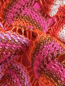 Swim Vcay Women's Jacquard Fabric Halter Bikini Set, Spring/Summer - Multicolor - View 7