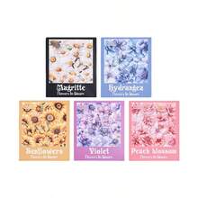 5-Piece Flower View Laser Sticker Set | 60 Pcs Waterproof PET Shell Light Journal Supplies - multicolor - View 11