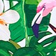 Hồng