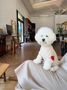 PETSIN 秋冬季宠物保暖内衬心形卫衣，适合猫咪、小型犬、泰迪熊、比熊犬、约克夏梗犬等——厚实保暖 - 彩色 - 查看 4