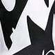 黑與白