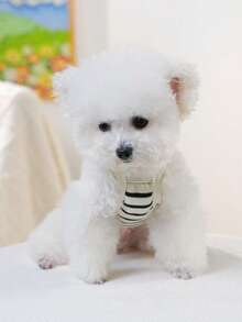 PETSIN 1pc Cat/Dog Clothes, Spring And Summer Pet Vest With Three-Dimensional Flowers, Skin-Friendly, Breathable And Comfortable Camisole - Multicolor - View 9