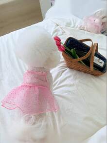 PETSIN 透气网眼连衣裙，适用于狗狗和猫咪，包括泰迪犬、博美犬、贵宾犬、比熊犬和其他小型犬种。 - 彩色 - 查看 5