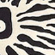 彩色