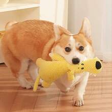 PETSIN 可爱的玉米毛绒大象狮子狼毛绒狗狗玩具，带BB音效，可与狗狗互动，乐趣无穷 - 彩色 - 查看 7