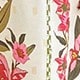 Nhiều màu
