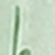 橄欖綠