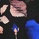 彩色