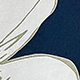 Nhiều màu