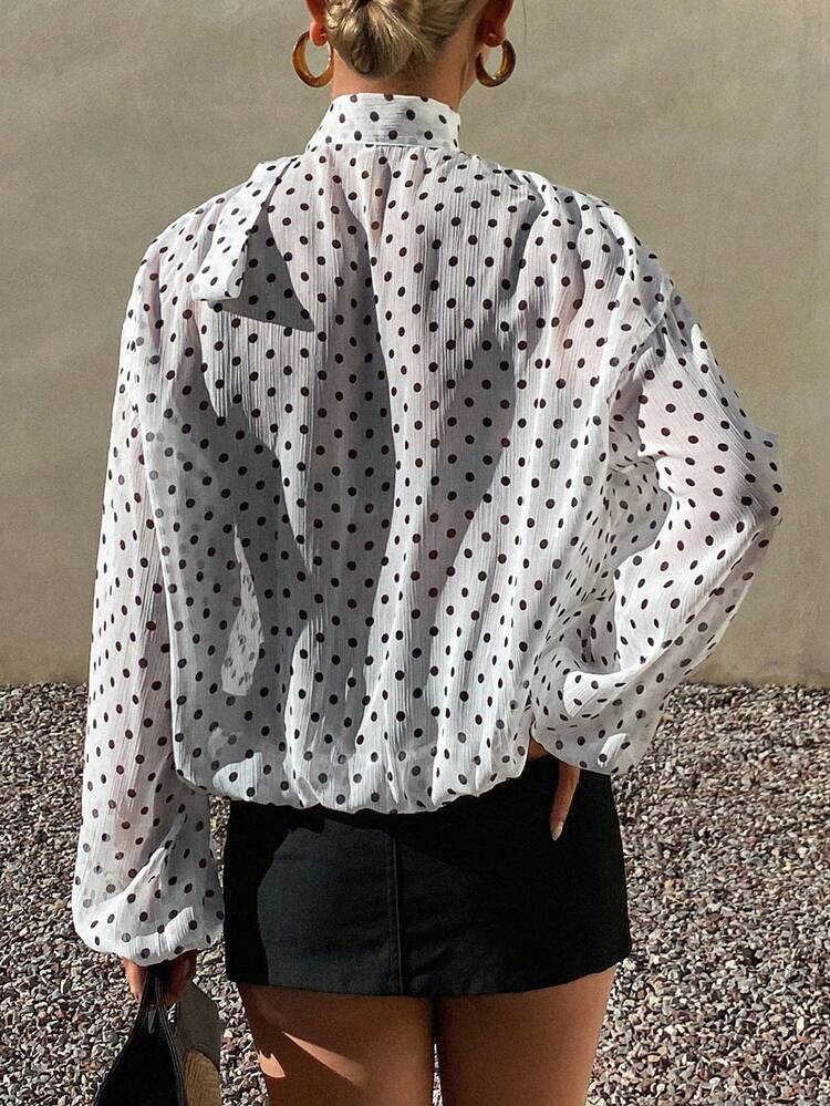 Women's Polka Dot Sheer Loose Tie Front Long Sleeve Casual Elegant Vacation Blouse, Spring/Summer