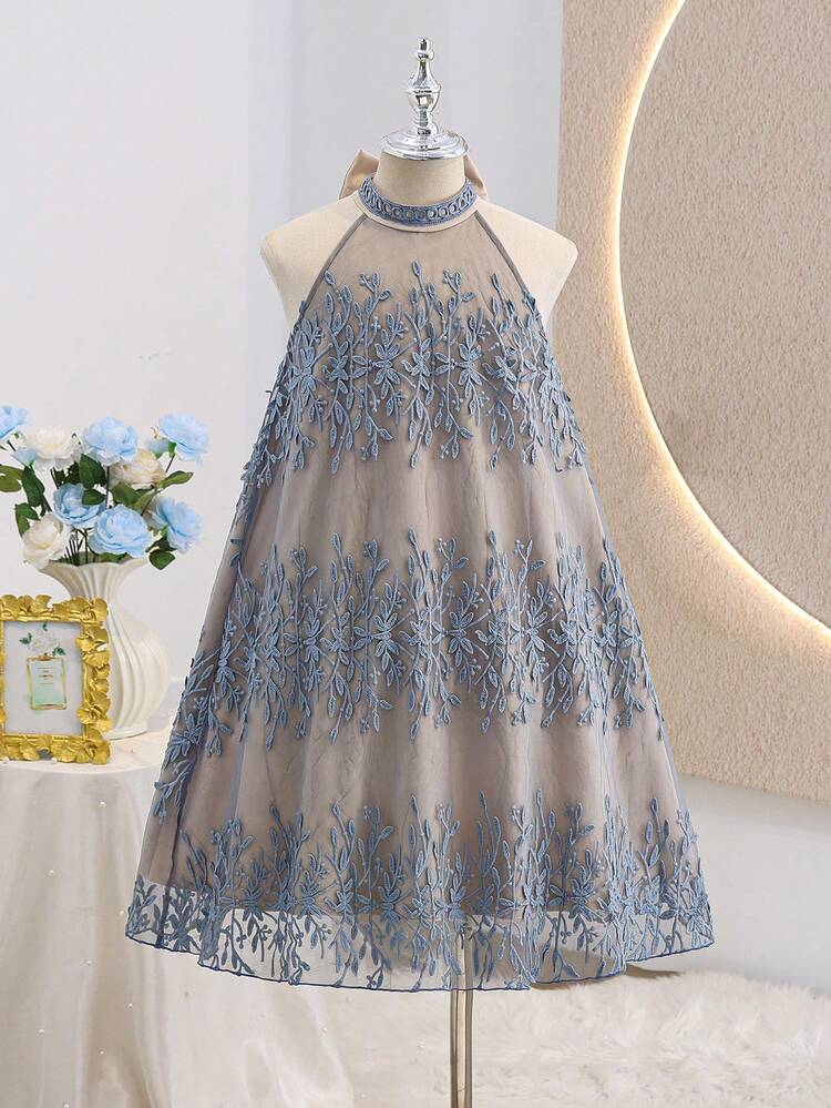 Elegant Luxury Tween Girl Dress, Cute Princess Dress, Apricot Color Stand Collar, Exquisite Embroidered Floral Decor, Sleeveless A-Line Silhouette, Gorgeous Princess Dress - Blue - View 3