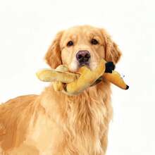 PETSIN 长条仿真腊肠犬毛绒玩具，内置BB弹吠叫声，可与狗狗进行互动拔河游戏 - 彩色 - 查看 12