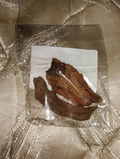 2 件水族箱浮木，用于玻璃容器景观装饰