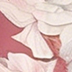 Dusty Pink