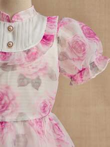Mädchen süßes Organza bedrucktes Stehkragen Rüschen Blütenärmel Taille ausgestelltes Prinzessinnenkleid, geeignet für Blumenmädchen, Hochzeit, Party, Geburtstag, Bankett, alle Jahreszeiten - Mauve - Übersicht 5
