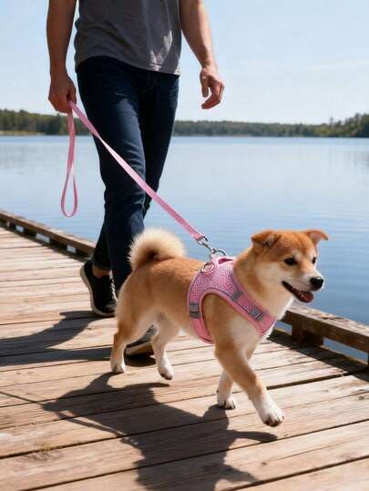 Dog Harness Leash Set For Small Medium Dogs, French Bulldog Puppy No Pull Vest, Adjustable Soft Breathable Mesh, All Season Comfort Walk