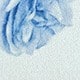 Blue and White