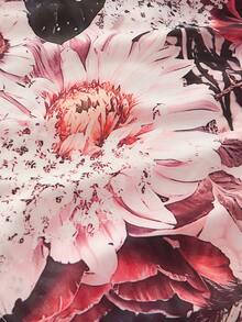 ZEYLAH 花卉印花飘逸连衣裙，情人节装扮 - 彩色 - 查看 6