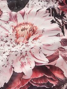 ZEYLAH 树叶印花露背轻质上衣，情人节 - 彩色 - 查看 4