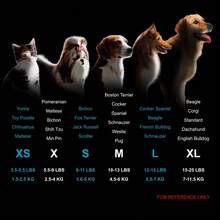 PETSIN 1 pieza Vestido de princesa de malla roja y blanca con volantes y estampado de carta de amor roja de San Valentín para mascotas - Multicolor - Ver 4