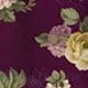 Bold Plum