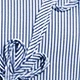 Blue and White