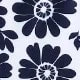 Blue and White