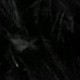 Hitam B