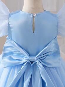 SHEIN Glamorique Kids Elegant Sky Blue Summer Flower Girl Dress,Young Girls Floral Mesh A-Line Tutu Princess Birthday Party Gown,Kids Formal Tulle Flower Applique Dress - White - View 8