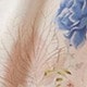 彩色
