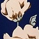 彩色