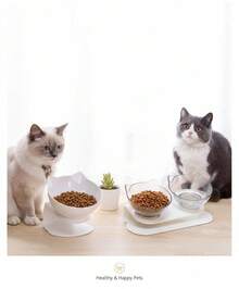 PETSIN 1 Bát ăn và uống cho mèo, bát cho thú cưng có phần cổ cao, chống trượt, miệng bát nghiêng, dùng để uống và ăn, bát đôi cho mèo và chó, bát đựng nước. - Nhiều màu - Xem 6