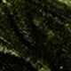 Velvet green