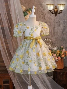 Young Girl Summer Vacation Birthday Party Embroidered Mesh Square Neck Petal Sleeve Belted Dress - Yellow - View 8