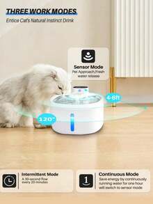PETSIN Dispensador de agua automático inalámbrico para gatos - 88 onzas / 2.6 litros / 0.69 galones, con sensor de movimiento que detecta automáticamente el suministro de agua, ultra silencioso - Dispensador de agua para mascotas con batería - 2.6L - Ver 8