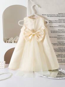 SHEIN Babygirl's Elegant And Lovely White Mesh Floral Sleeveless Dress - Apricot - View 2