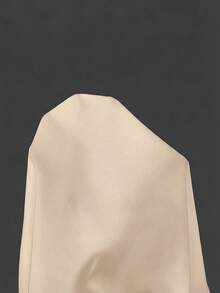 Aloruh Chân váy ren phối màu trơn thanh lịch dành cho nữ, thích hợp đi làm. - Màu be - Xem 9