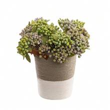 1件塑料仿真植物，现代浆果装饰仿真枝条，适用于家居、情人节、生日、毕业季、返校季、房间装饰、学习用品等场合。 - 綠色 - 查看 2