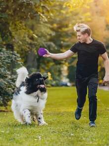 1pc/2pcs/3pcs/4pcs Pet Chew Squeaky Ball Soft TPR Floating Dog Pool Toy, Reduce Anxiety, Fetch Toy, Teeth Cleaning, Interactive Dog Toy, Suitable For Small & Medium Pets, No Battery - Multicolor - View 7