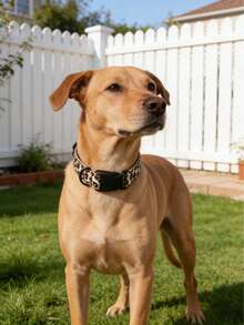 Leopard Print Wild Dog Collar, Adjustable Nylon Pet Collar - Yellow - View 6