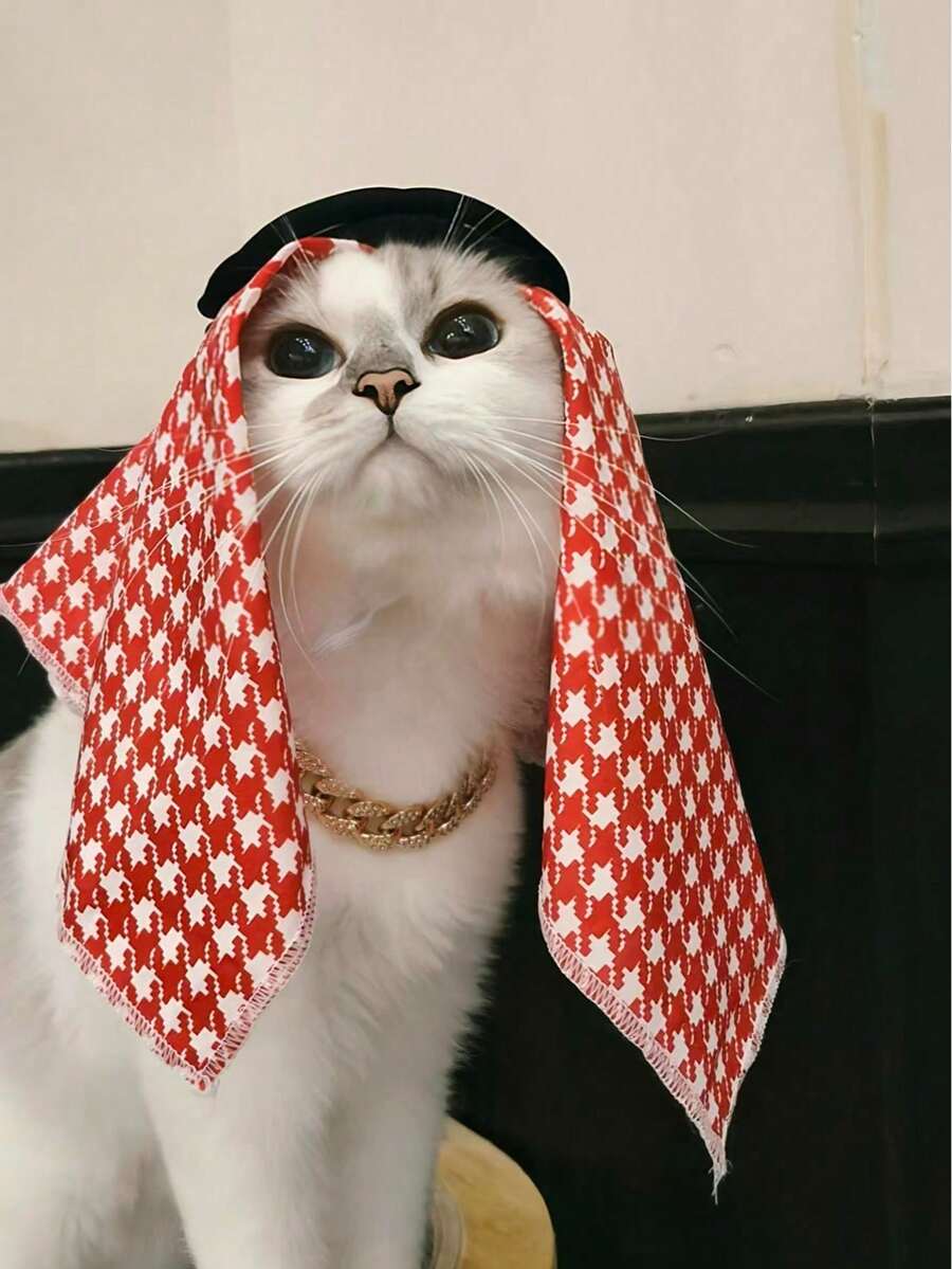 Pet Headband Hat, Handmade Sun Protection & Wind Resistant Headwear For Cat & Dog - Multicolor - View 1